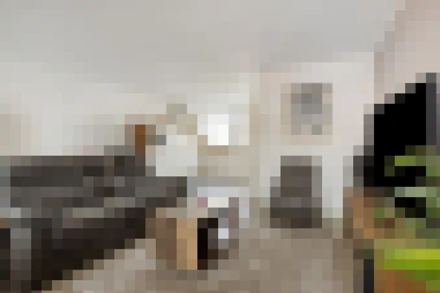 Kalmoes 13 Cuijk thumbnail 17
