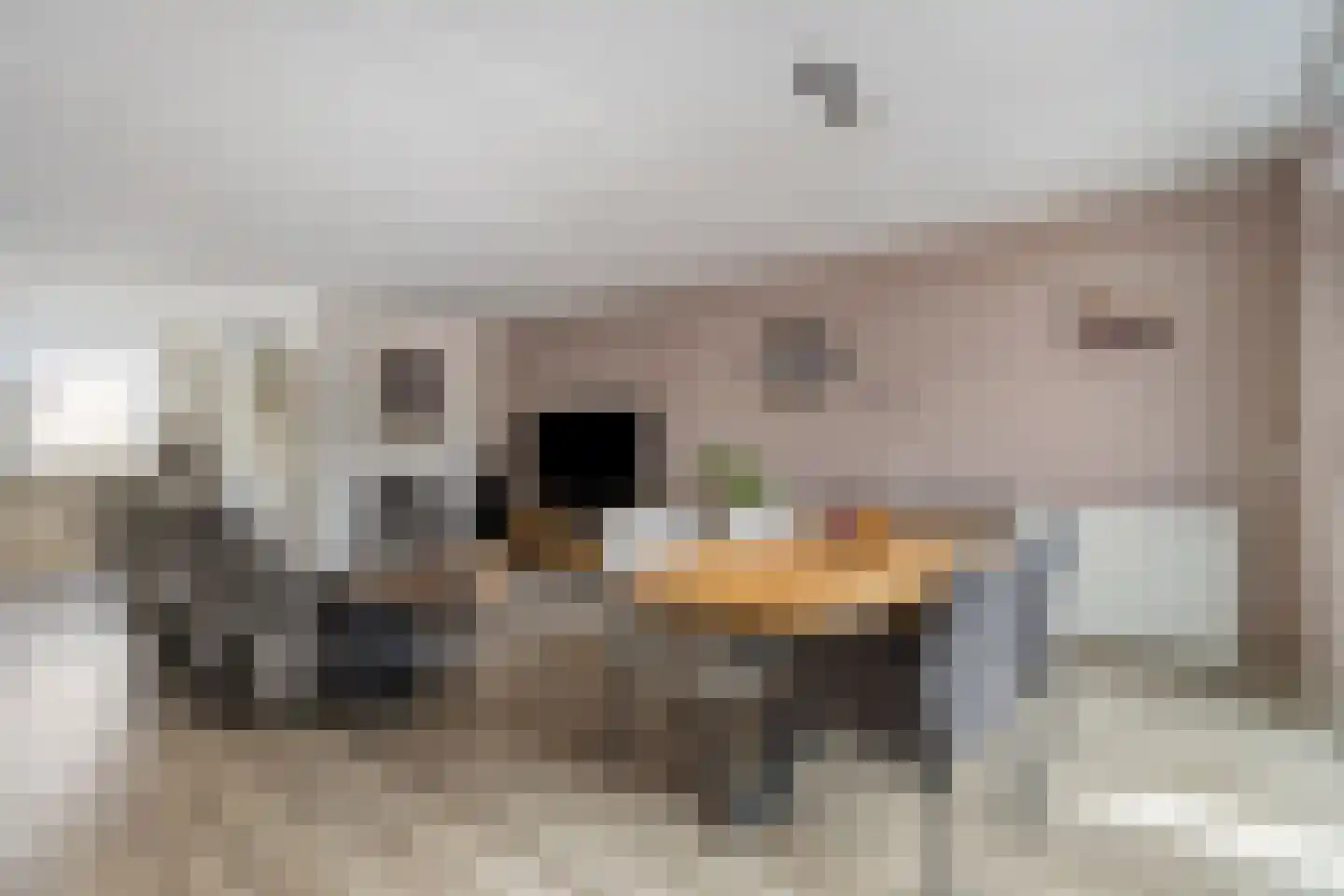 Kalmoes 13 Cuijk thumbnail 19