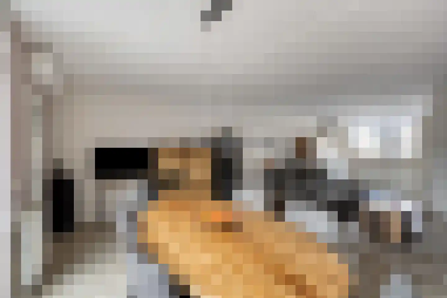 Kalmoes 13 Cuijk thumbnail 20