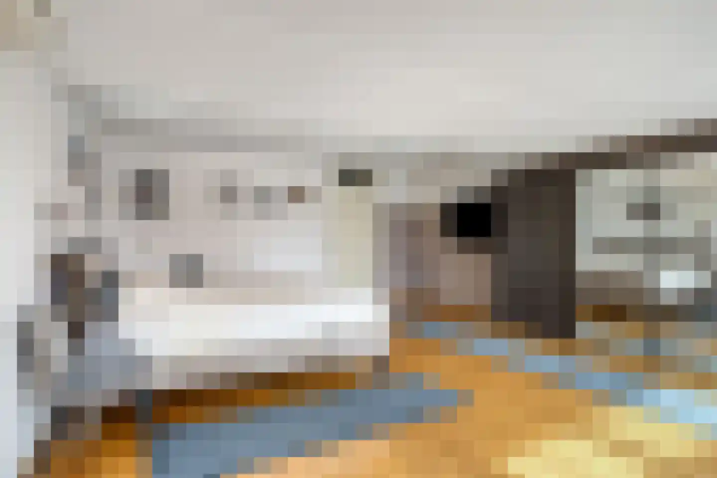 Kalmoes 13 Cuijk thumbnail 26