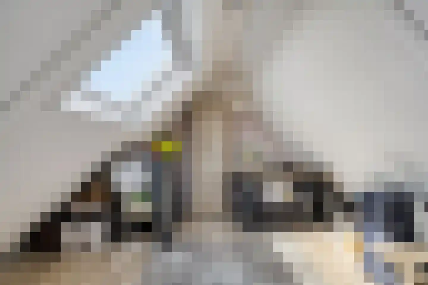 Kalmoes 13 Cuijk thumbnail 34