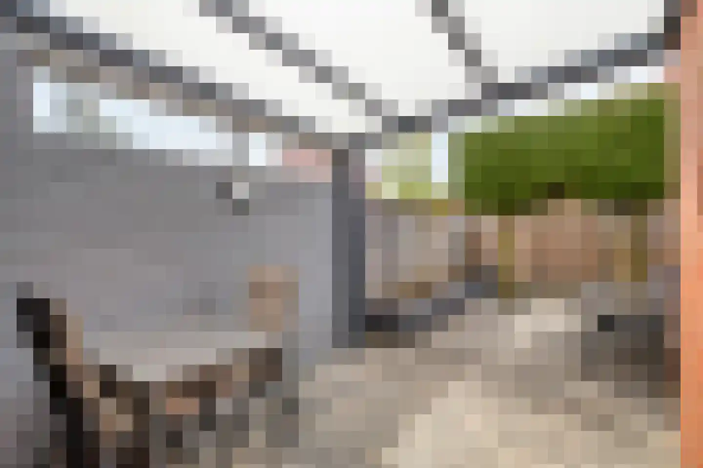 Kalmoes 13 Cuijk thumbnail 36
