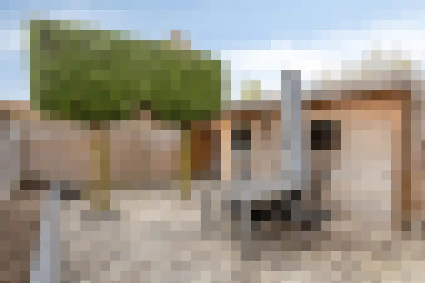 Kalmoes 13 Cuijk thumbnail 38