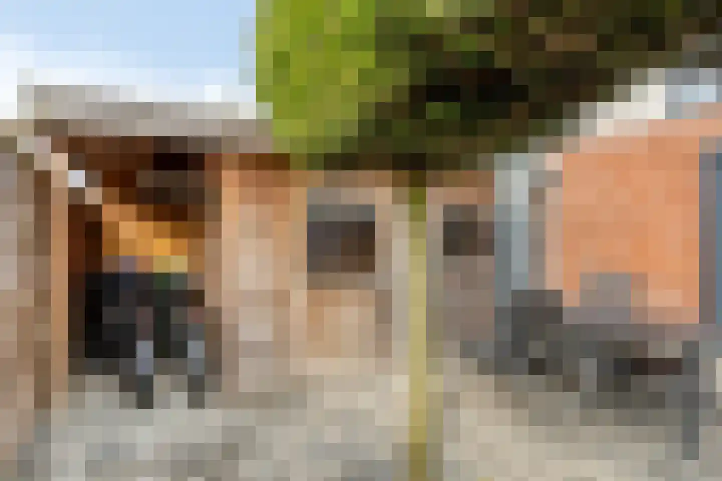 Kalmoes 13 Cuijk thumbnail 39