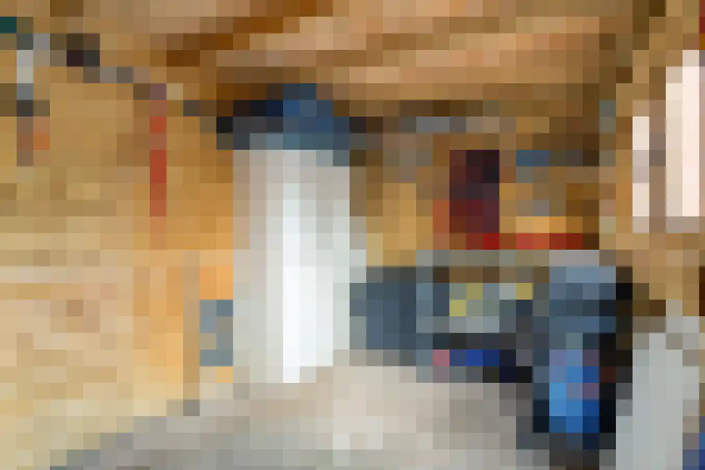 Kalmoes 13 Cuijk thumbnail 40