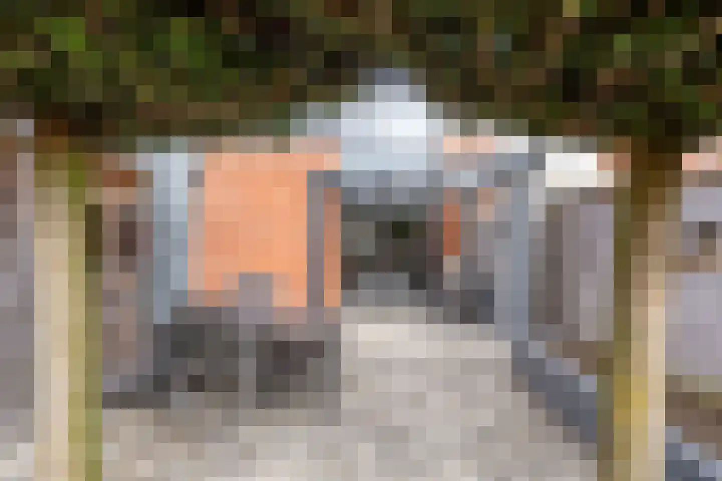 Kalmoes 13 Cuijk thumbnail 42