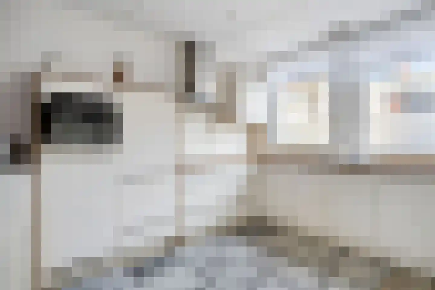 Kalmoes 13 Cuijk thumbnail 9