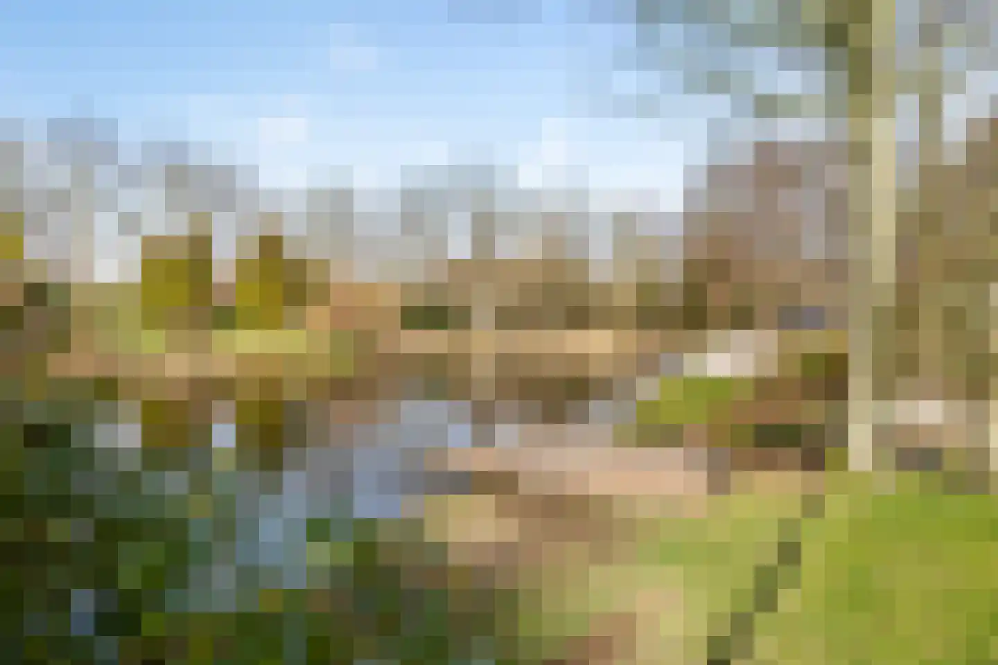 Kalmoes 13 Drachten thumbnail 32