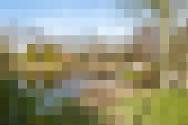Kalmoes 13 Drachten thumbnail 32