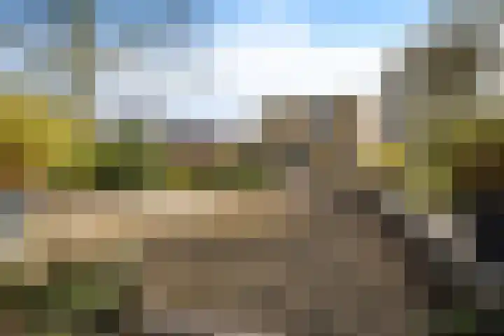 Kalmoes 13 Drachten thumbnail 33