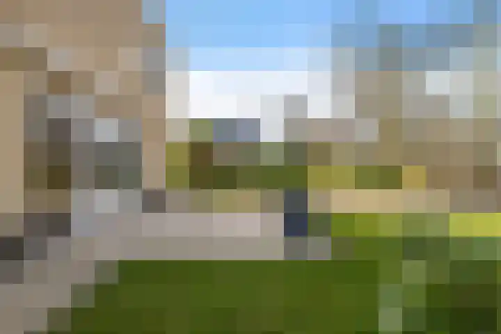 Kalmoes 13 Drachten thumbnail 34
