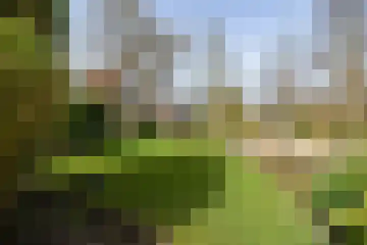 Kalmoes 13 Drachten thumbnail 39