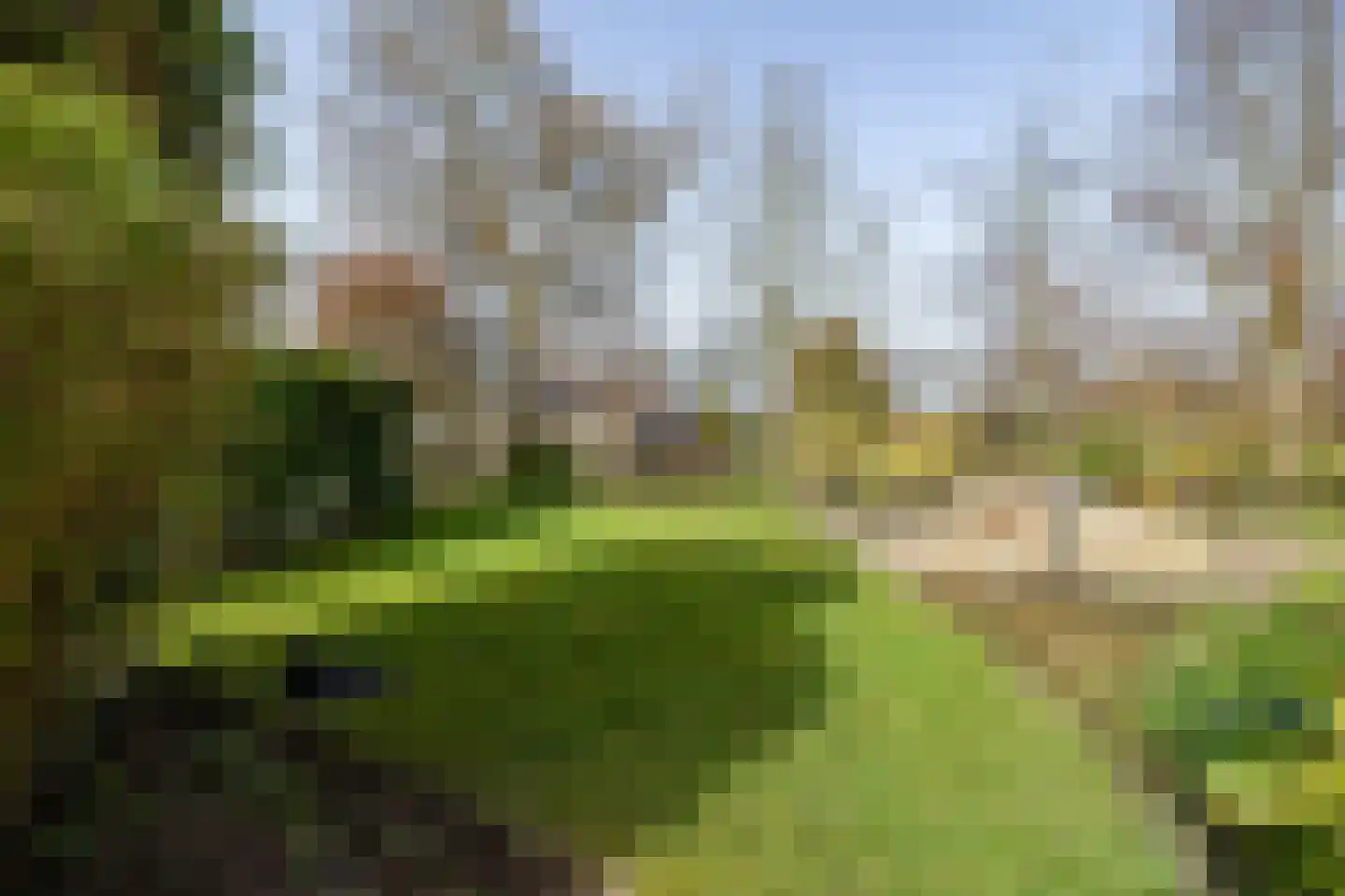 Kalmoes 13 Drachten thumbnail 39