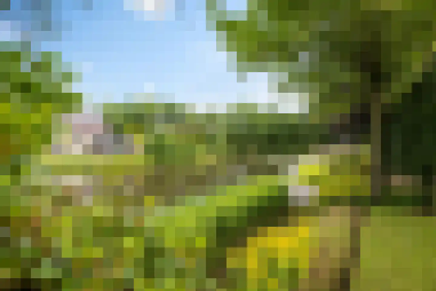 Kalmoes 13 Drachten thumbnail 4