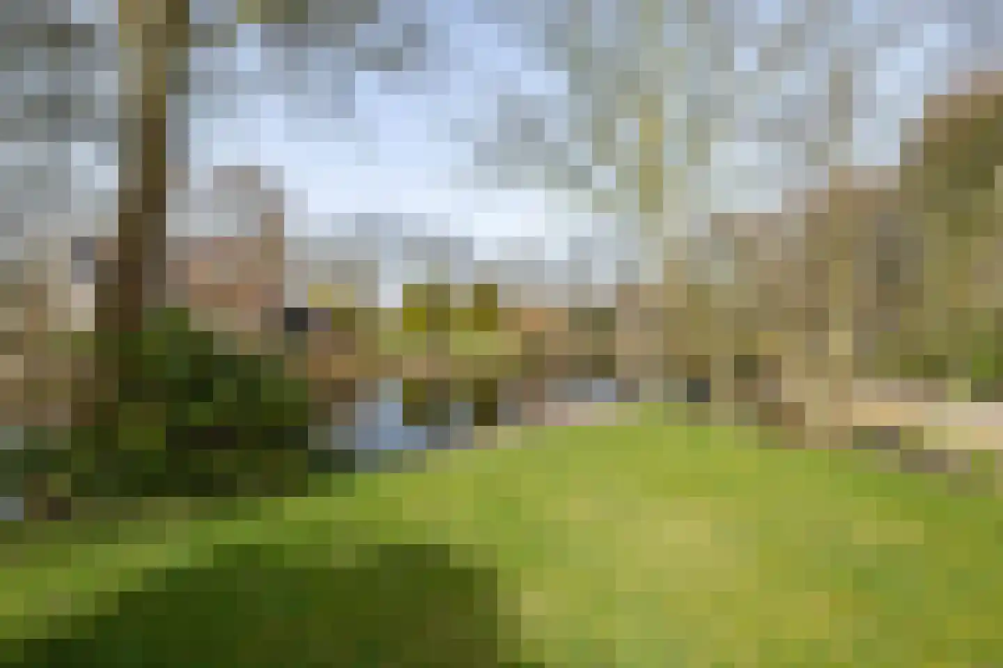 Kalmoes 13 Drachten thumbnail 40