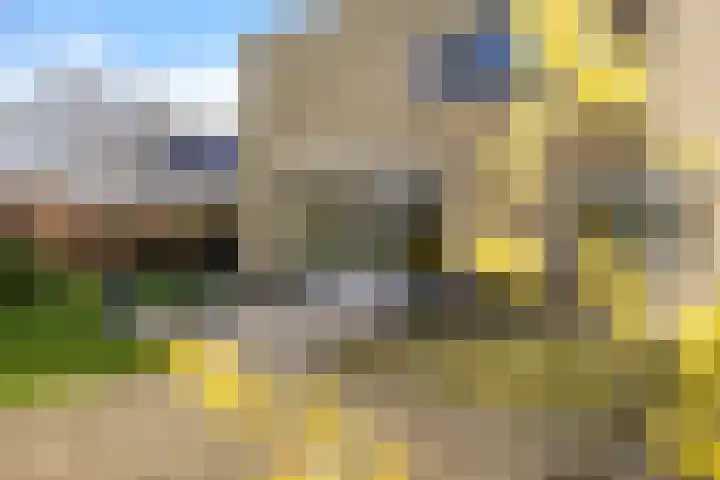 Kalmoes 13 Drachten thumbnail 42
