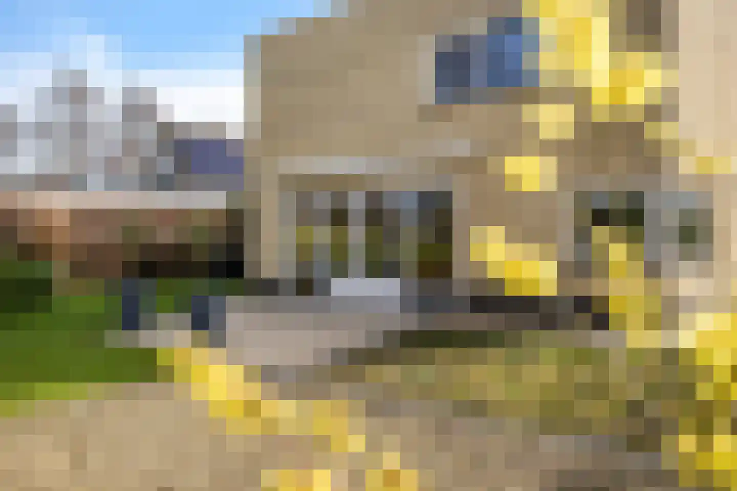 Kalmoes 13 Drachten thumbnail 42