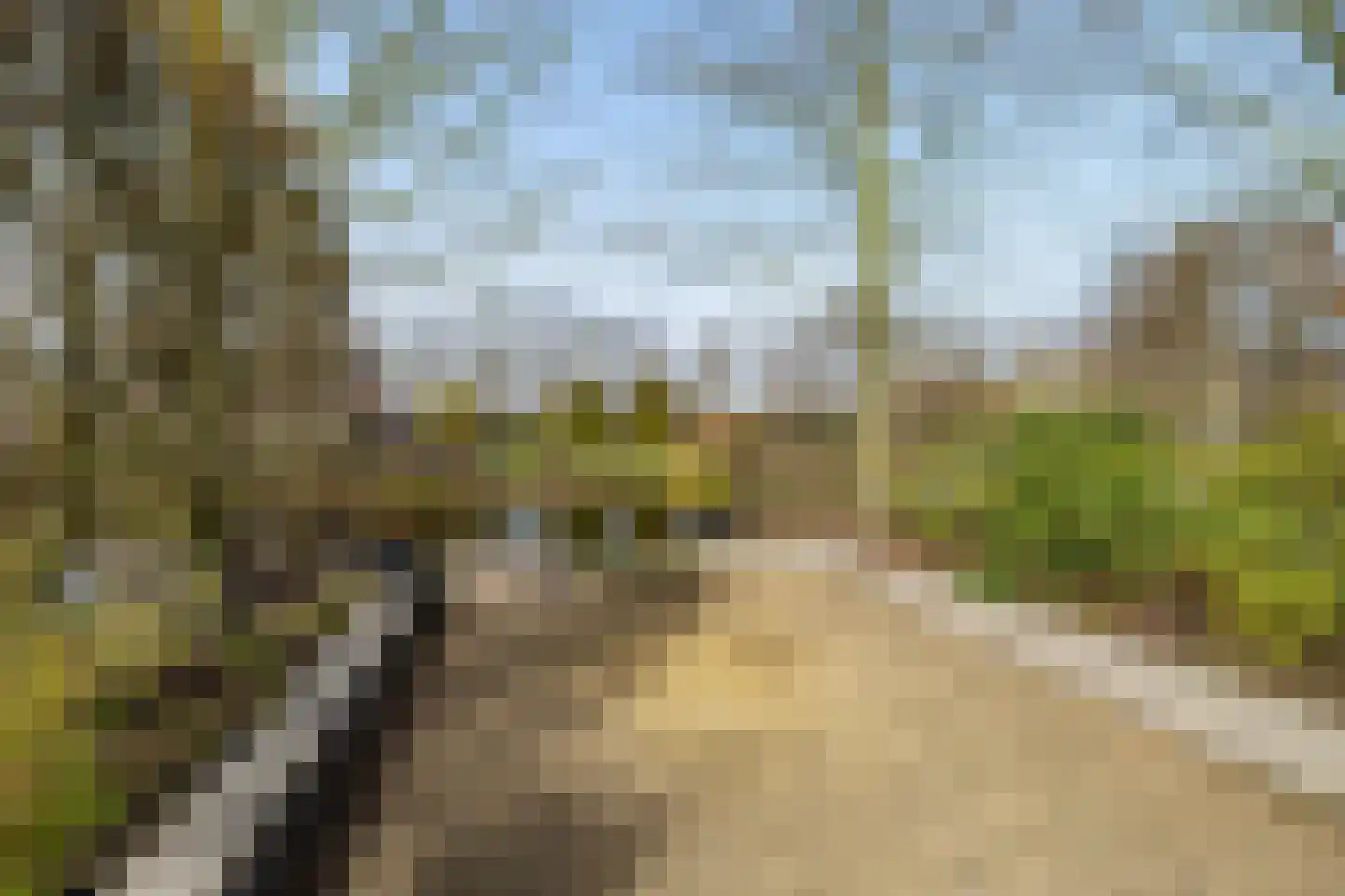 Kalmoes 13 Drachten thumbnail 43