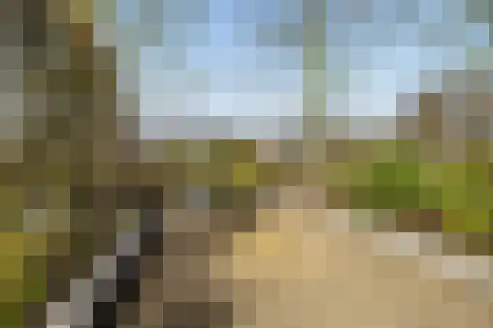 Kalmoes 13 Drachten thumbnail 43