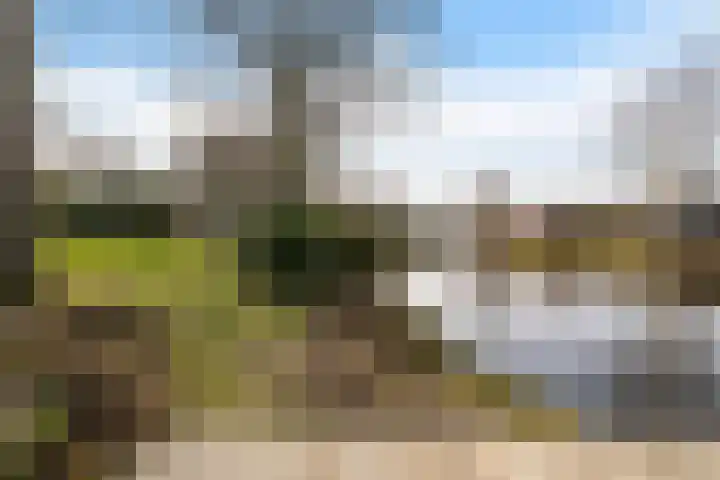Kalmoes 13 Drachten thumbnail 44