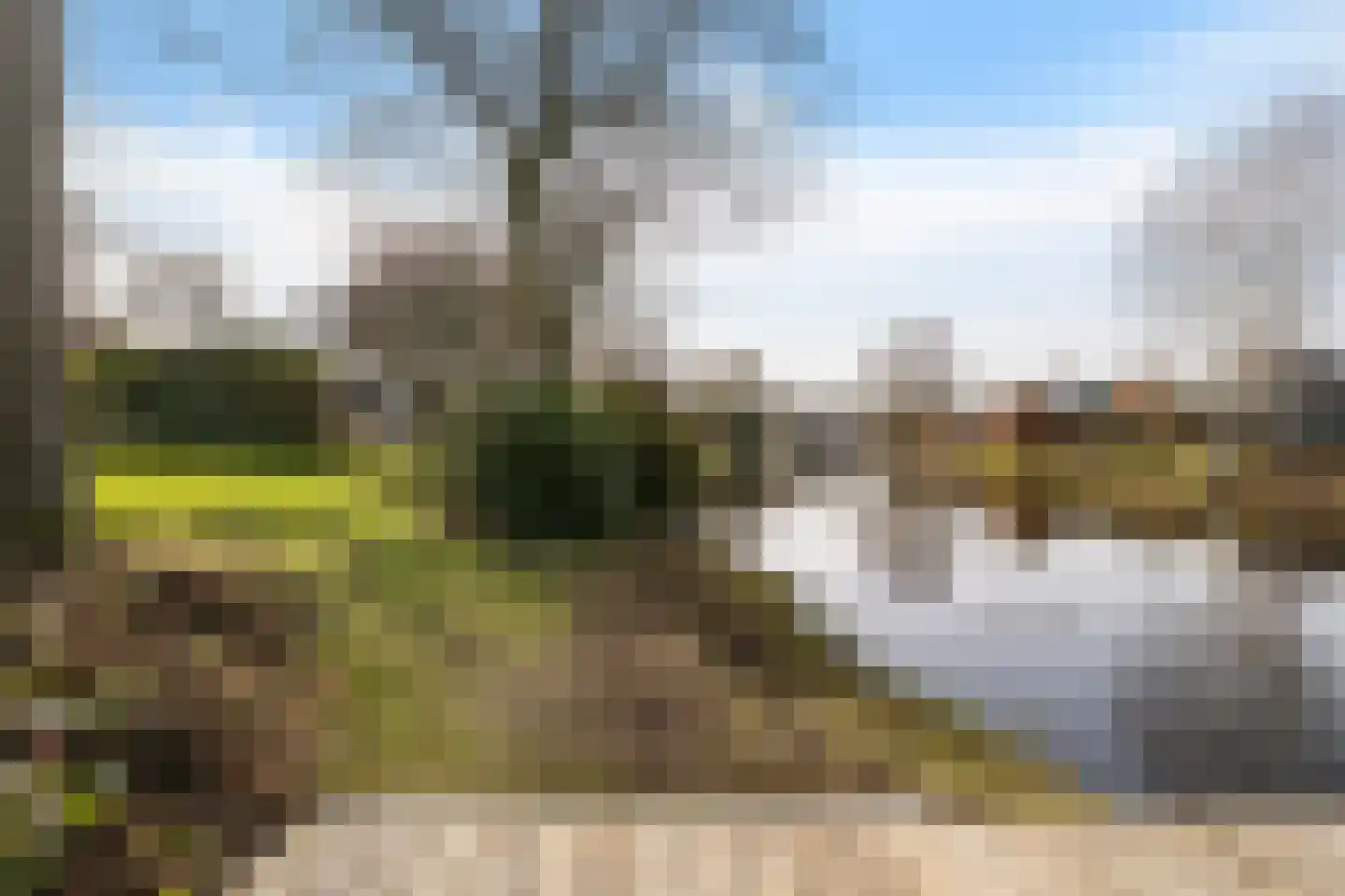 Kalmoes 13 Drachten thumbnail 44