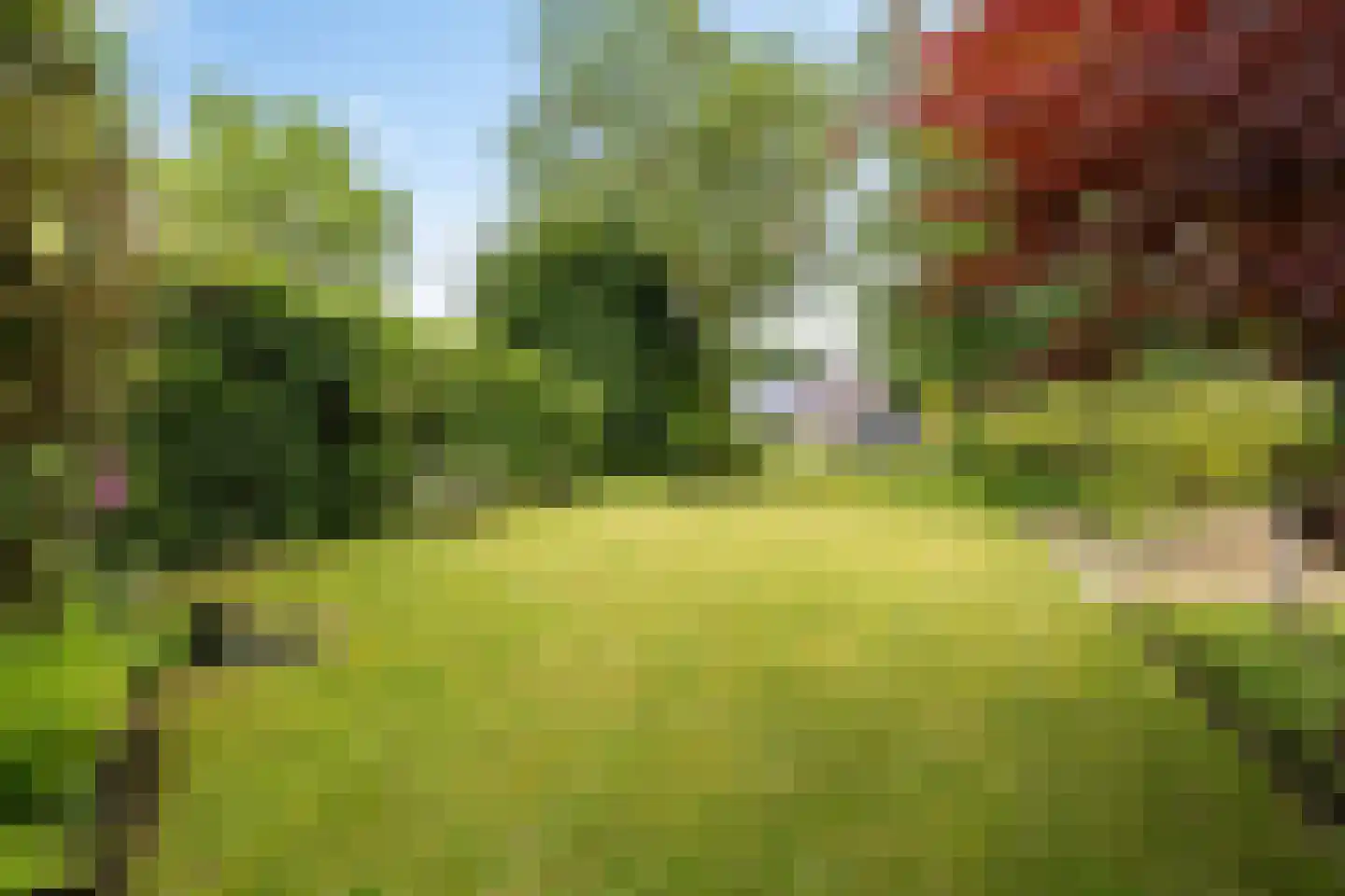 Kalmoes 13 Drachten thumbnail 46