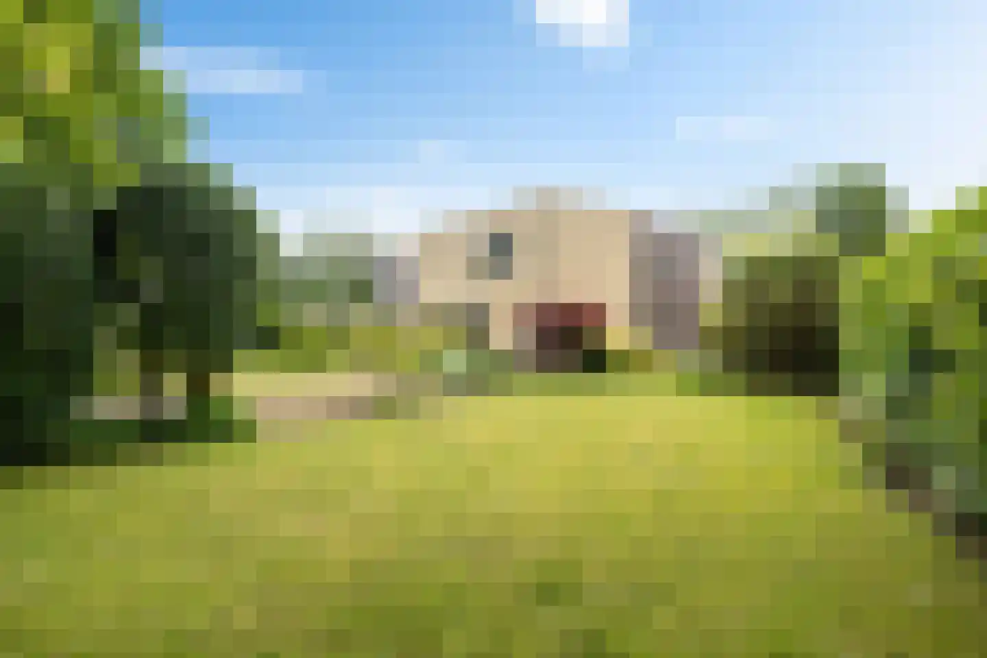 Kalmoes 13 Drachten thumbnail 48