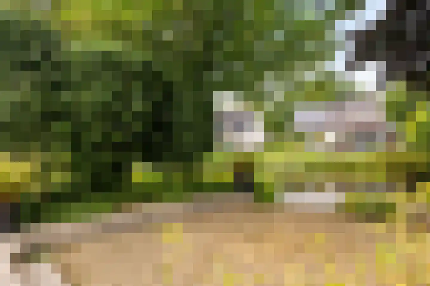 Kalmoes 13 Drachten thumbnail 51