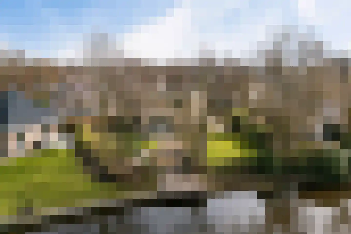 Kalmoes 13 Drachten thumbnail 52