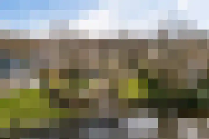 Kalmoes 13 Drachten thumbnail 52
