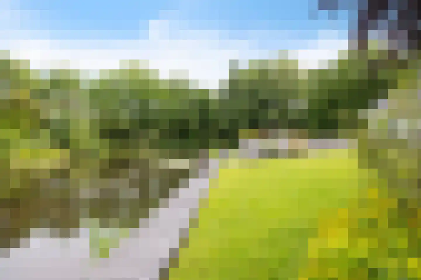 Kalmoes 13 Drachten thumbnail 54