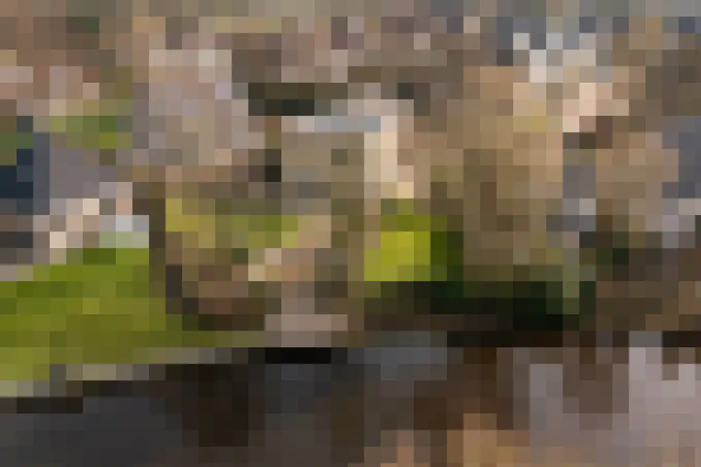 Kalmoes 13 Drachten thumbnail 54