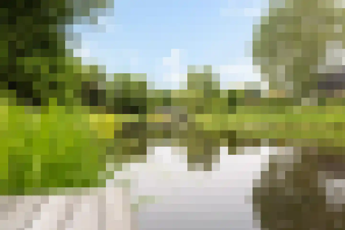 Kalmoes 13 Drachten thumbnail 55