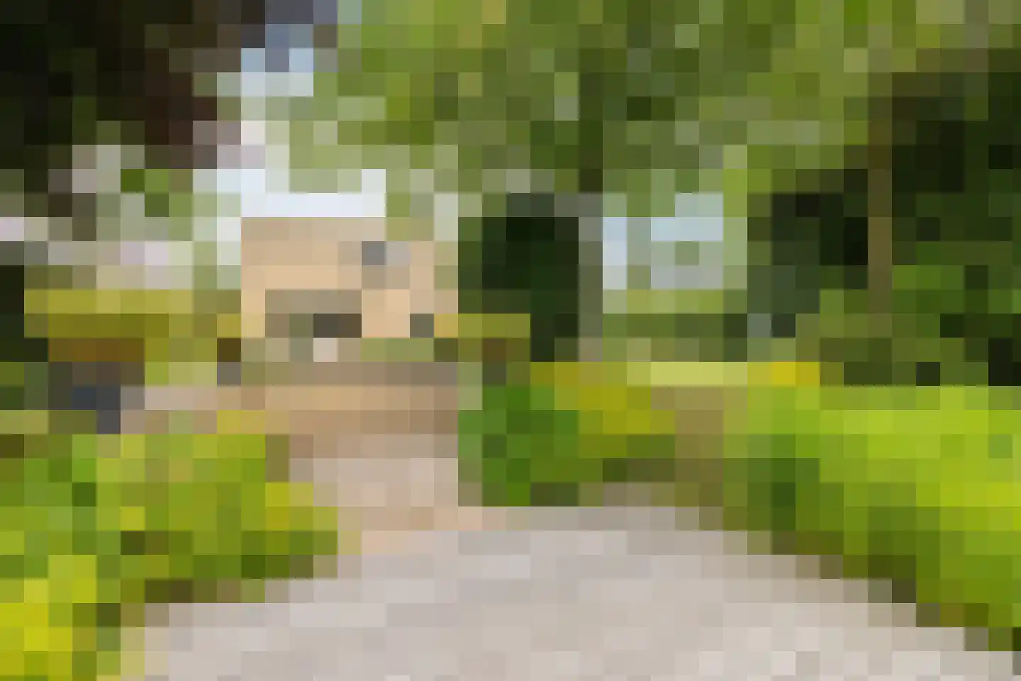 Kalmoes 13 Drachten thumbnail 56