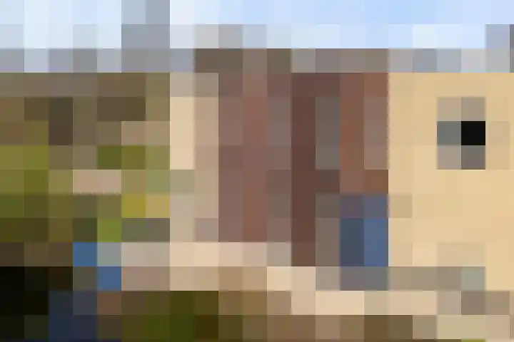 Kalmoes 13 Drachten thumbnail 56