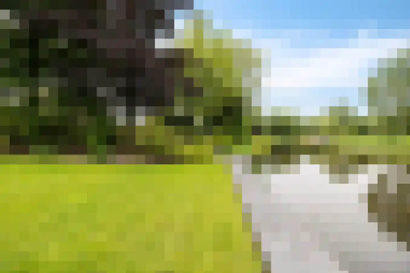 Kalmoes 13 Drachten thumbnail 57