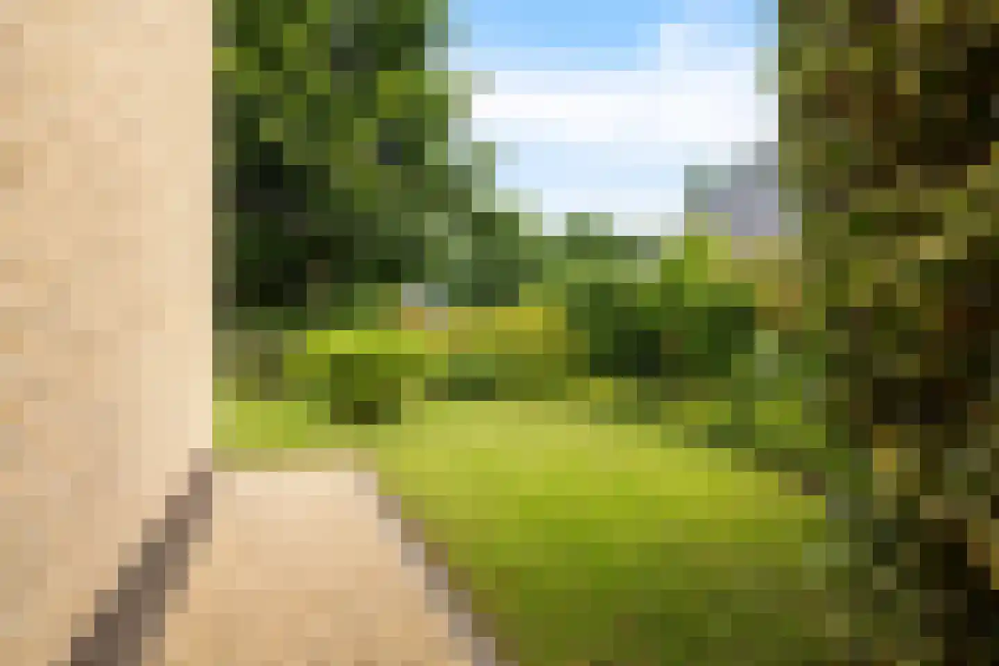 Kalmoes 13 Drachten thumbnail 62