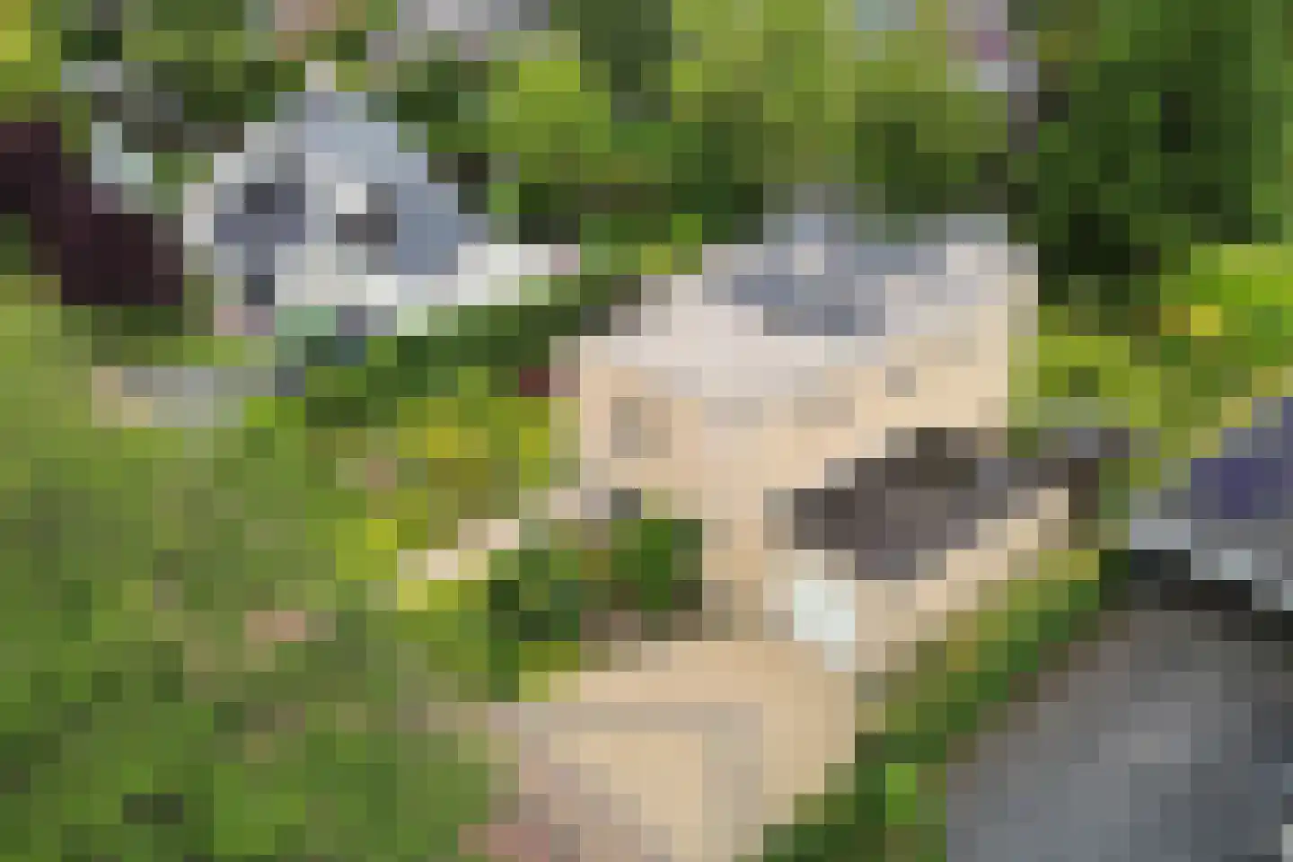 Kalmoes 13 Drachten thumbnail 64