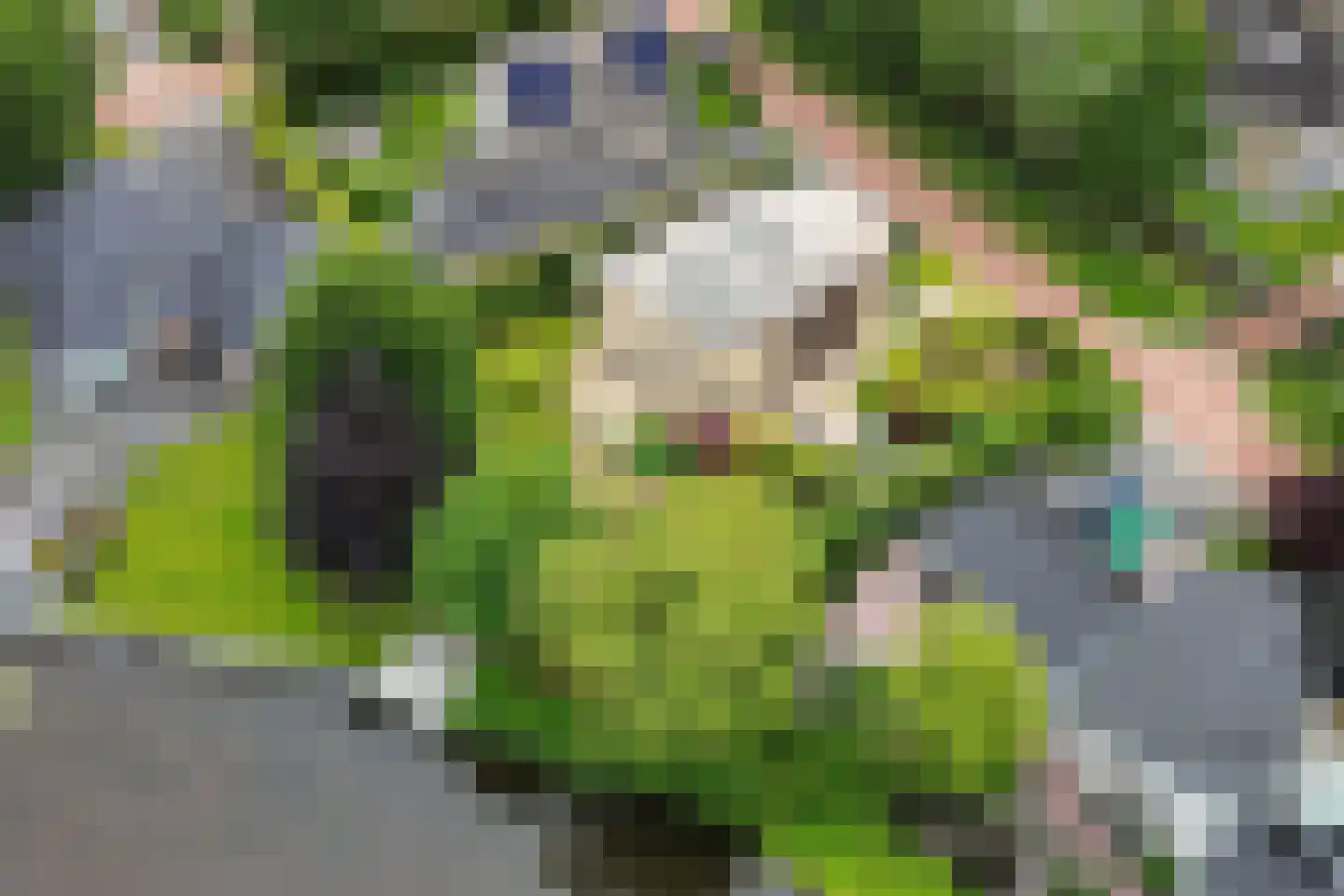 Kalmoes 13 Drachten thumbnail 68
