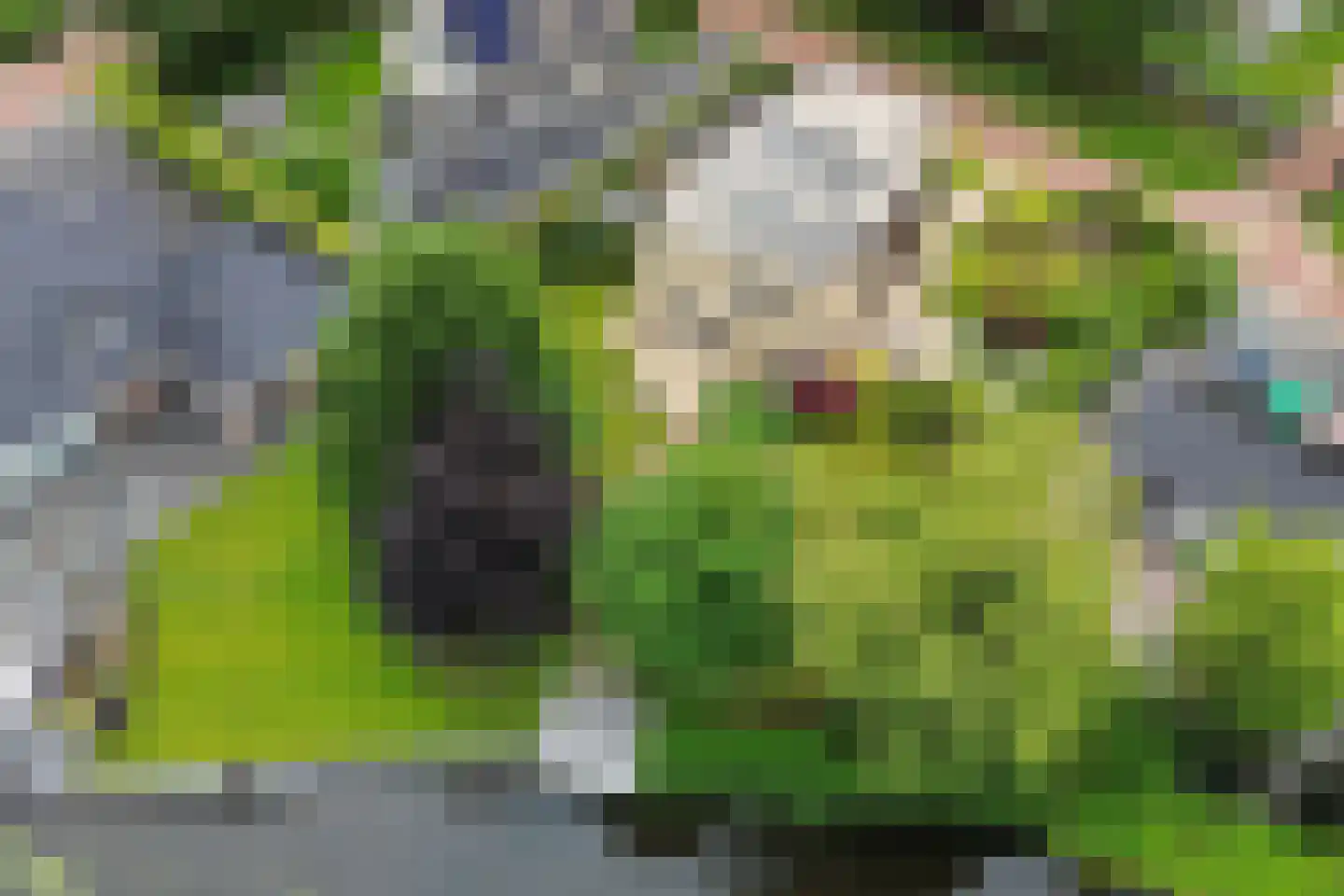 Kalmoes 13 Drachten thumbnail 69