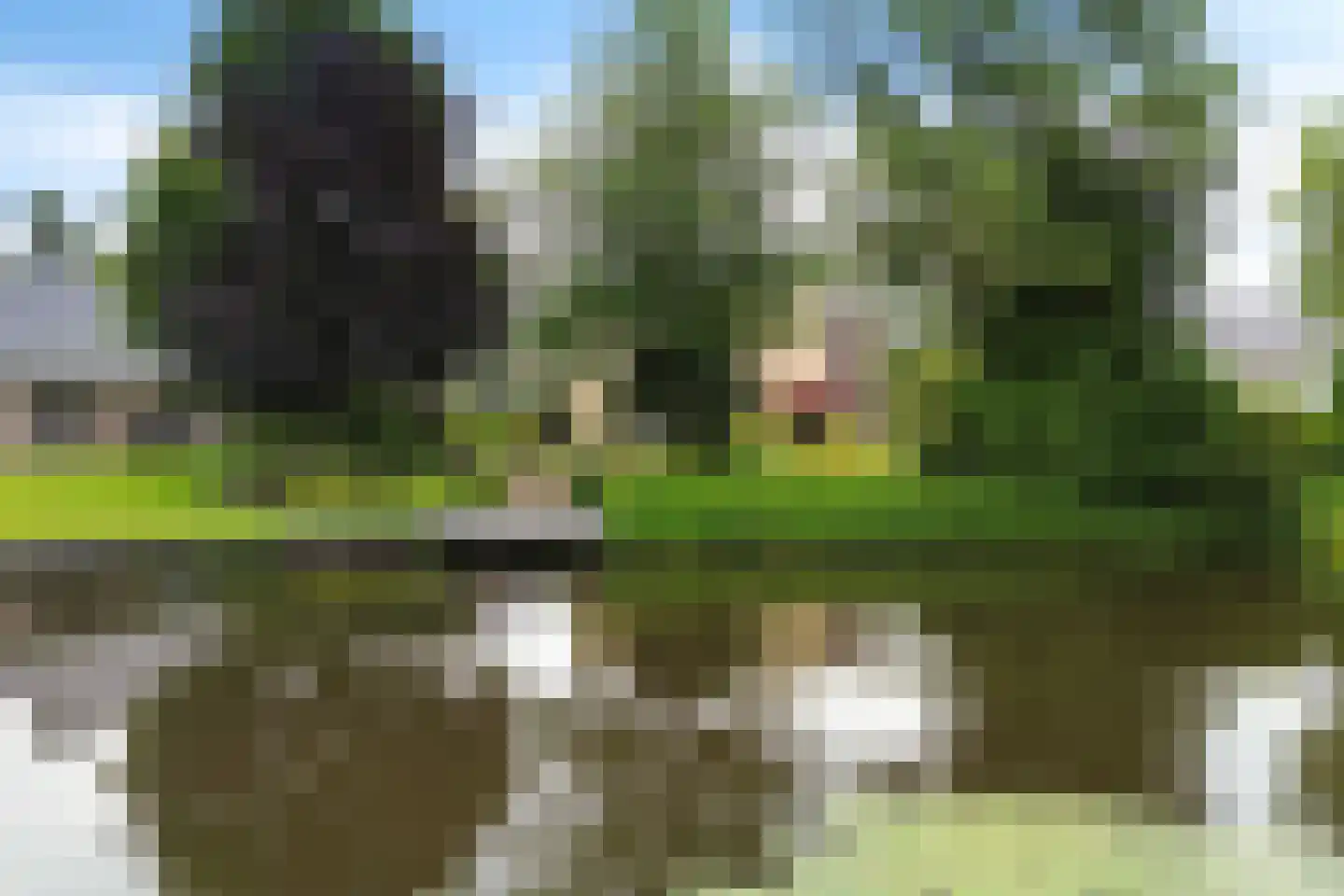 Kalmoes 13 Drachten thumbnail 70