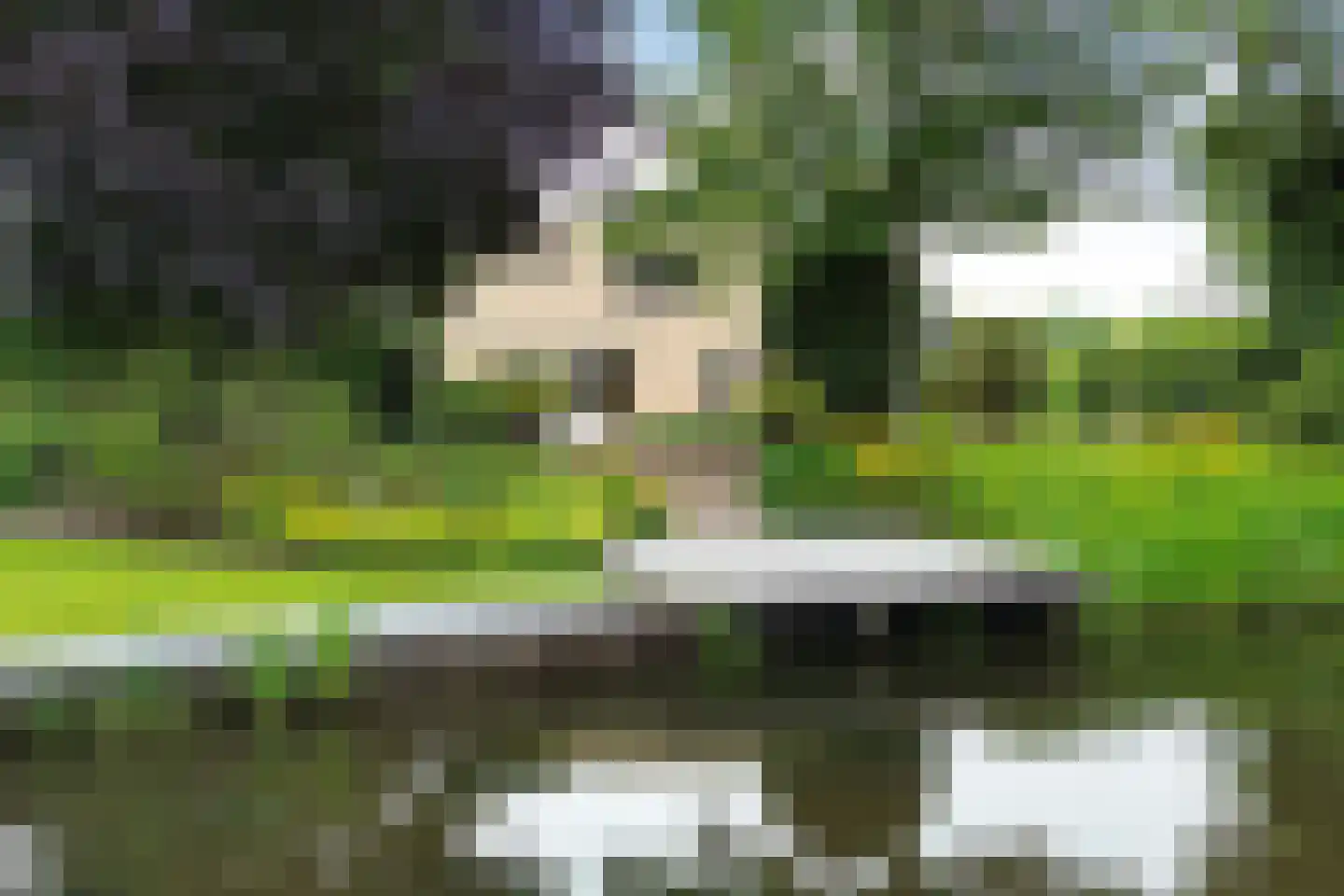 Kalmoes 13 Drachten thumbnail 72