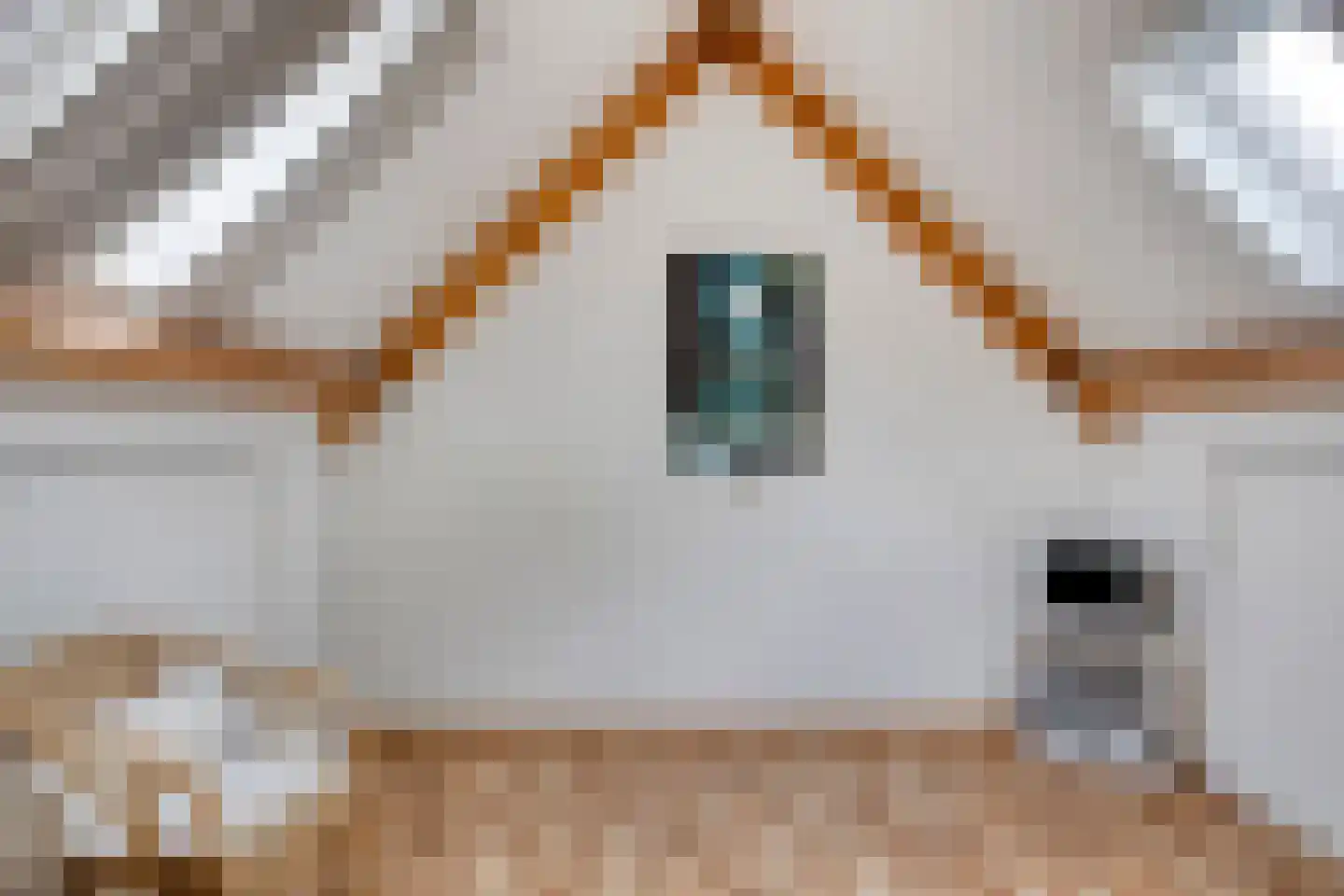 Kalmoes 17 Cuijk thumbnail 24