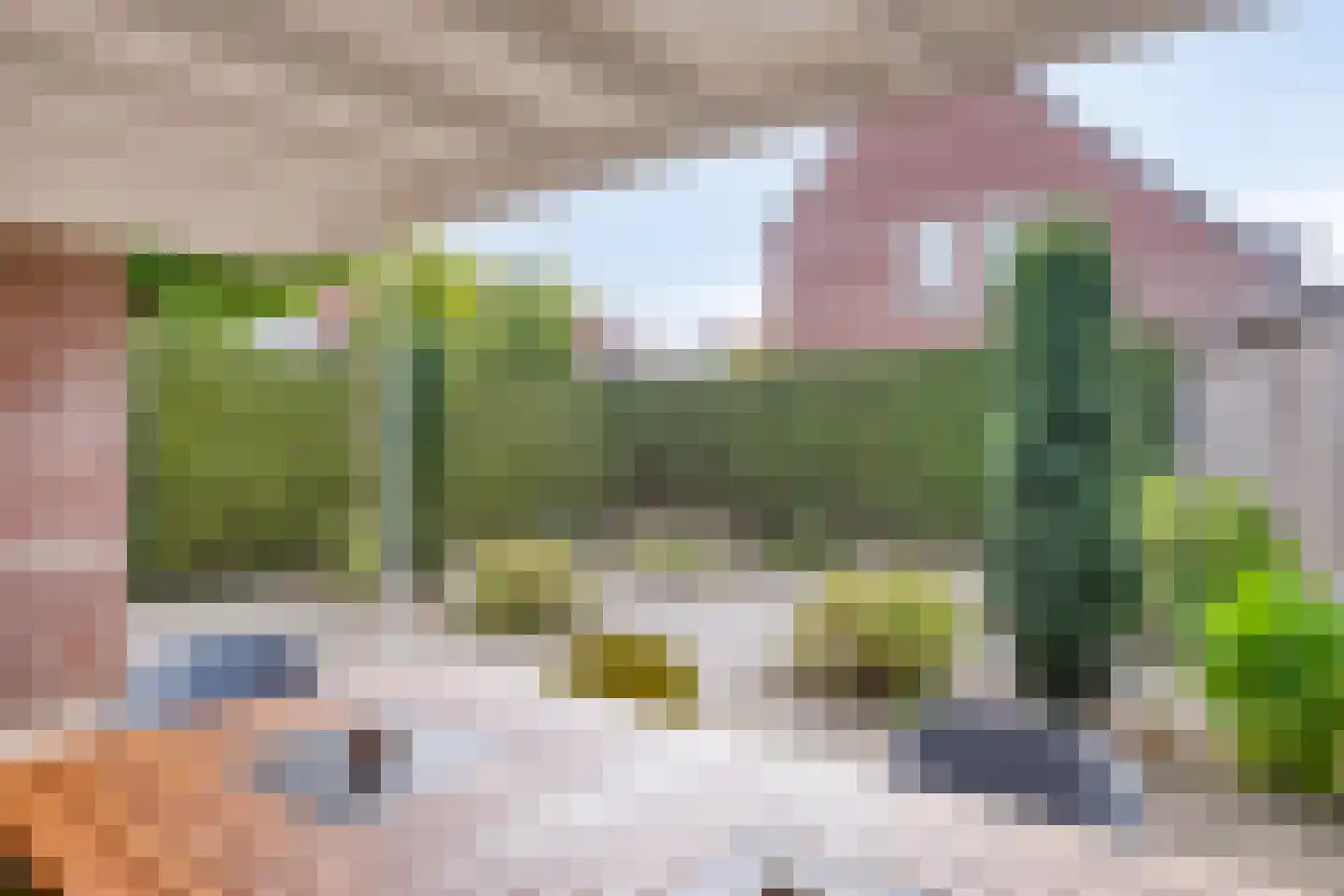 Kalmoes 17 Cuijk thumbnail 26