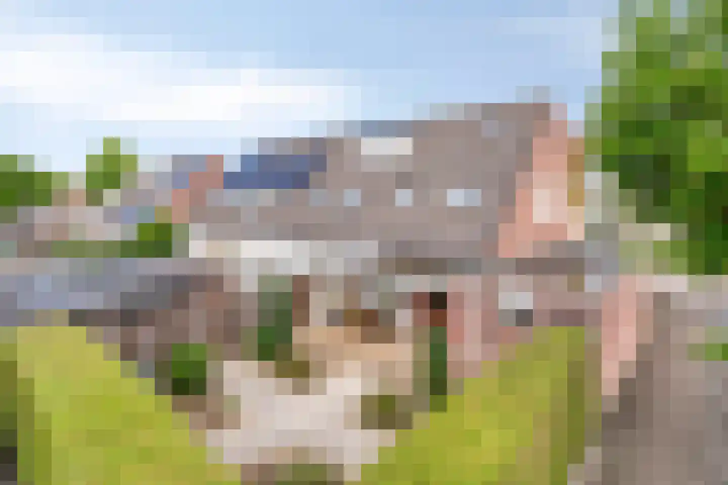 Kalmoes 17 Cuijk thumbnail 31