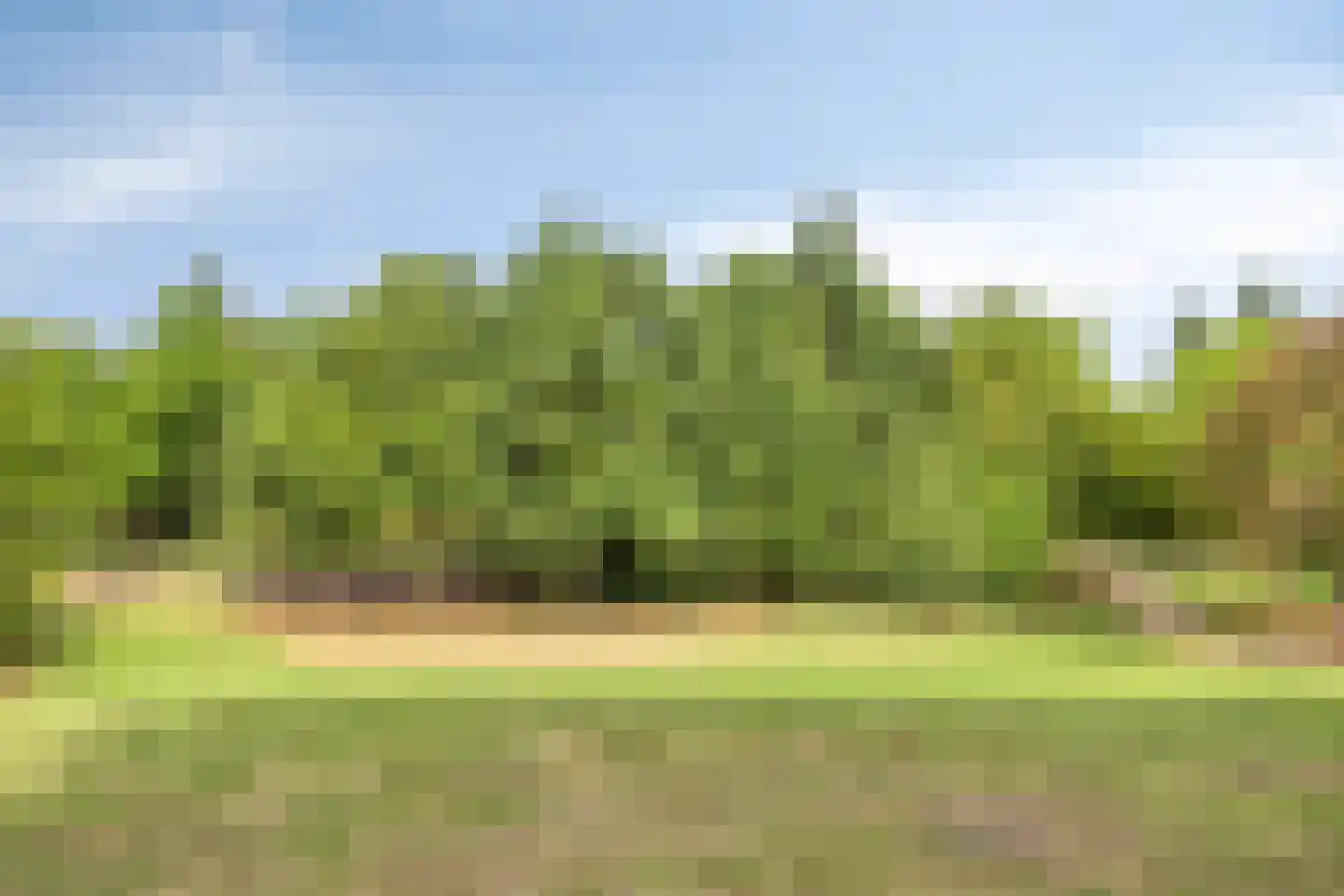 Kalmoes 17 Cuijk thumbnail 34