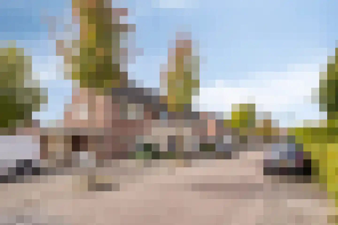 Kalmoes 17 Cuijk thumbnail 5