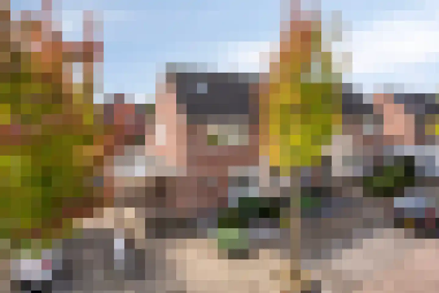 Kalmoes 17 Cuijk thumbnail 7