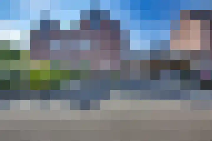 Kalmoes 18 dans Nieuwleusen