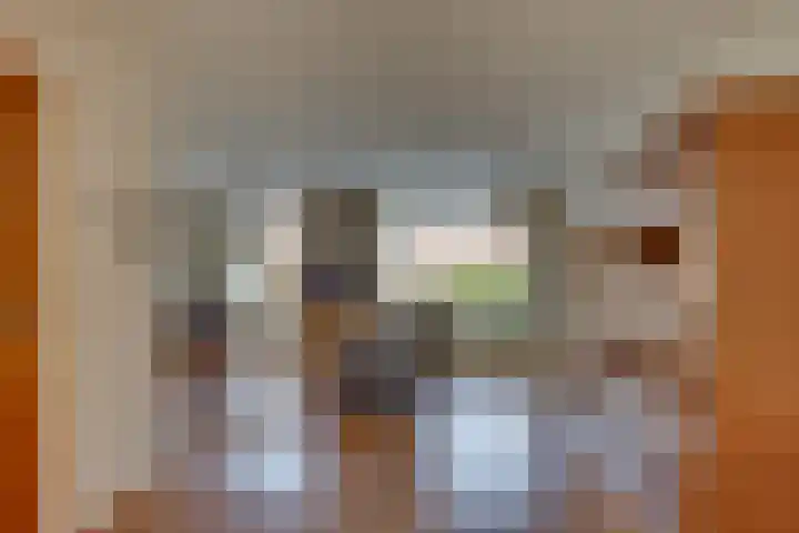 Kalmoes 18 Nieuwleusen thumbnail 10